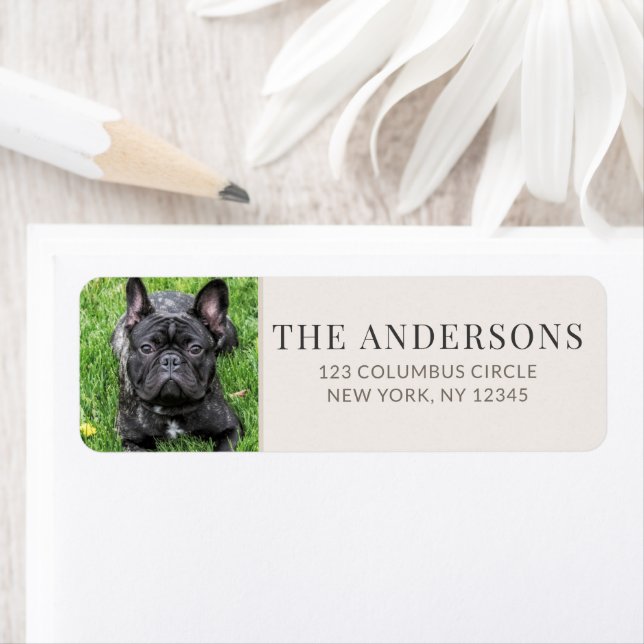 Personalised Pet Photo Return Address Label (Insitu)