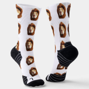 Personalised Pet Photo Socks