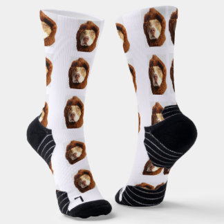 Personalised Pet Photo Socks