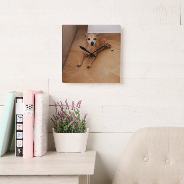 Personalised Pet Photo  Square Wall Clock (Reading Room)