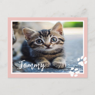 Personalised Pet Postcard with Custom Photo & Name