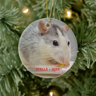 Personalised Pet Rat Photo & Name Christmas Tree Ceramic Tree Decoration