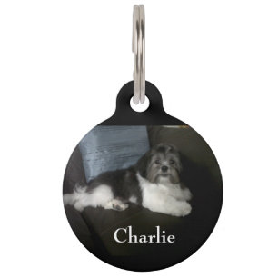 Personalised pet tag