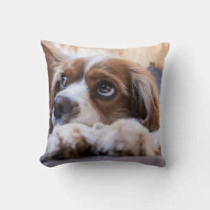 Personalised Pet Throw Pillow