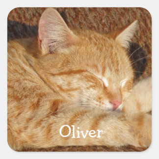 Personalised pet's photo square sticker