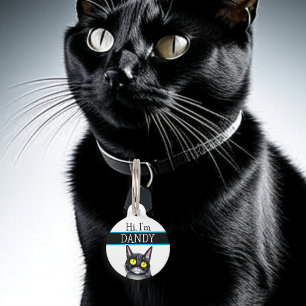 Personalised Phone Number and Address Cat Pet Tag
