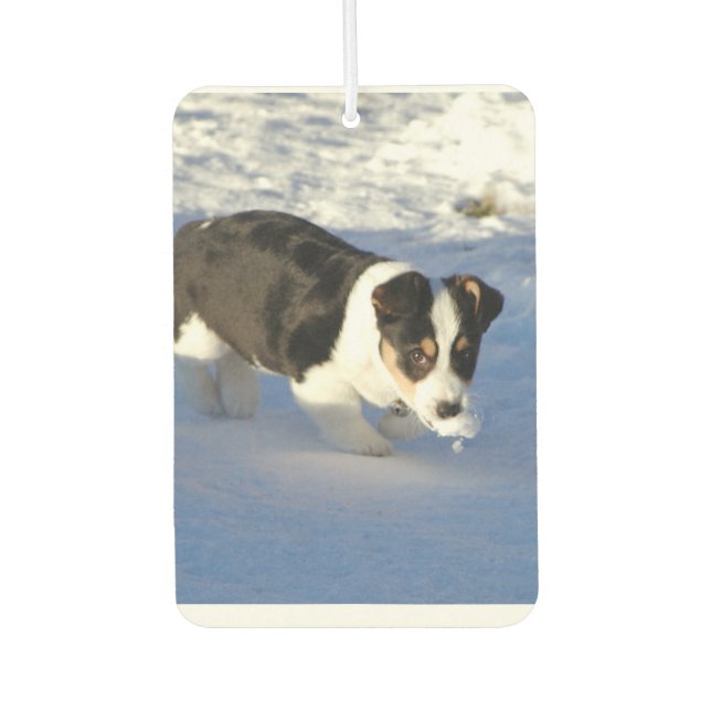 Personalised Photo Air Freshener (Front)