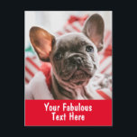 Personalised Photo and Text Postcard<br><div class="desc">Personalised Photo and Text Postcard</div>