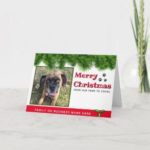 Personalised Photo Christmas Card from the Dogs