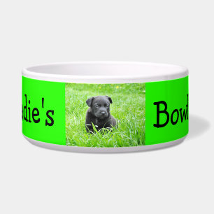 Personalised Photo Custom Colour Dog