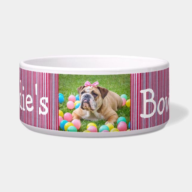 Personalised Photo Dog Bowl Red and Blue (Front)