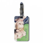 Personalised Photo Feather Pattern Luggage Tag