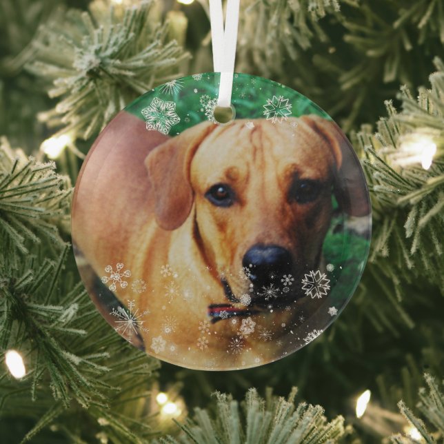 Personalised Photo Glass Christmas Tree Ornament (Insitu)