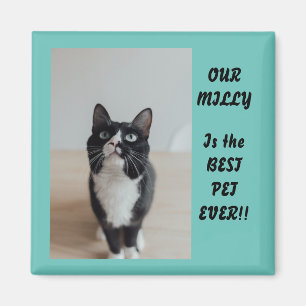 Personalised Photo Magnet Best Pet Ever