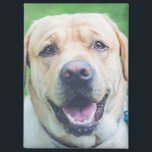 Personalised photo or art  magnet<br><div class="desc">Personalised magnet from Ricaso - add your own personalised photograph or artwork,  add text using the design tool,  great photo gift ideas and personal keepsakes</div>