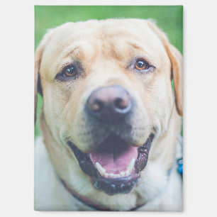 Personalised photo or art  magnet