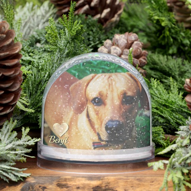 Personalised Photo Pet Memorial Snow Globe  (Winter)