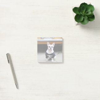 Personalised Photo Post-it Notes
