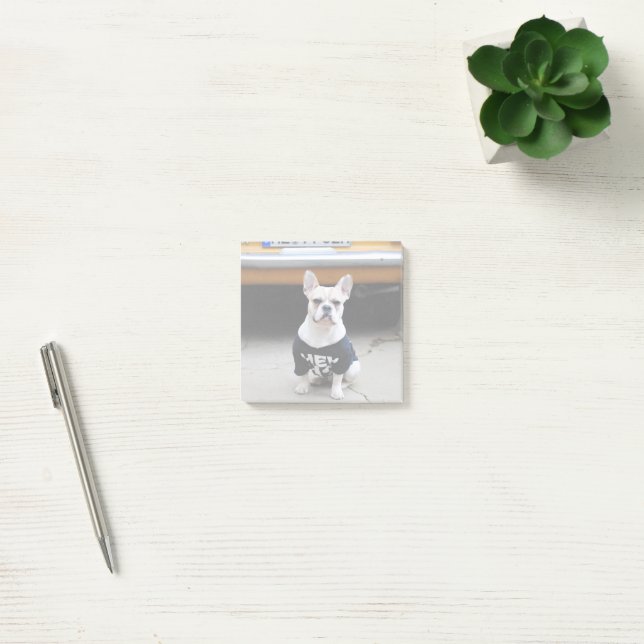 Personalised Photo Post-it Notes (Office)