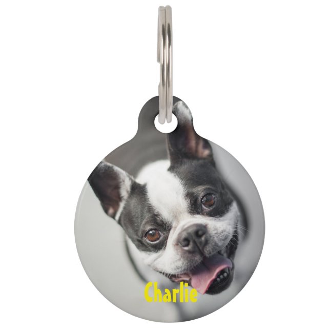 Personalised Photo & Text Round Pet Tag (Front)