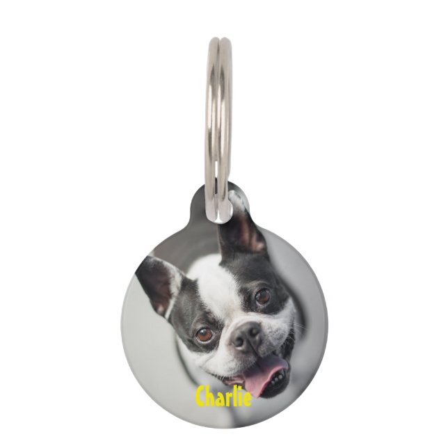 Personalised Photo & Text Round Pet Tag (Front)