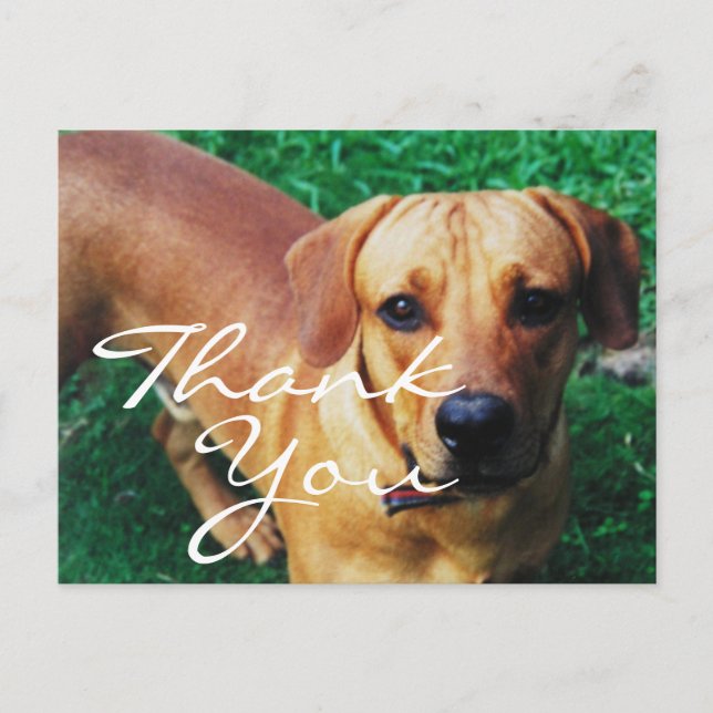Personalised Photo Thank You Postcard (Front)