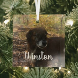 Personalised Photo White Script Glass Tree Decoration