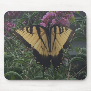 Personalised Photo Yellow and Black Butterfly Mouse Pad