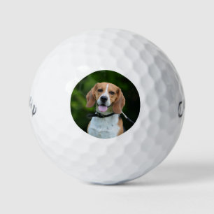 Personalised Photograph Dog Golf Balls