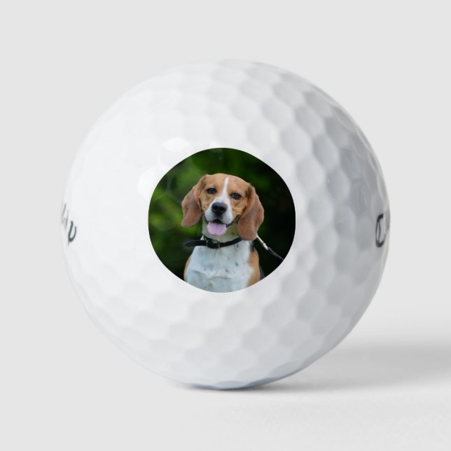 Personalised Photograph Dog Golf Balls (Front)