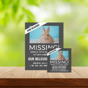 Personalised Photograph, Missing, Lost Pet Cards