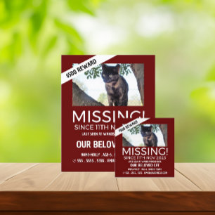 Personalised Photograph, Missing, Lost Pet Flyer