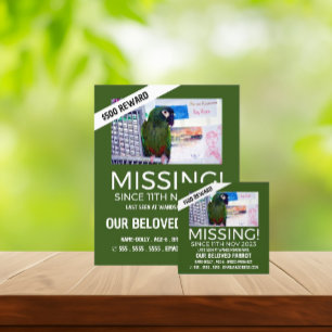Personalised Photograph, Missing, Lost Pet Flyer
