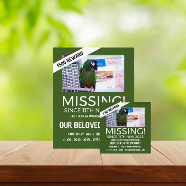 Personalised Photograph, Missing, Lost Pet Flyer (Creator Uploaded)