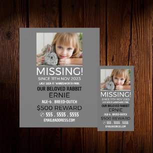 Personalised Photograph, Missing, Lost Pet Flyer