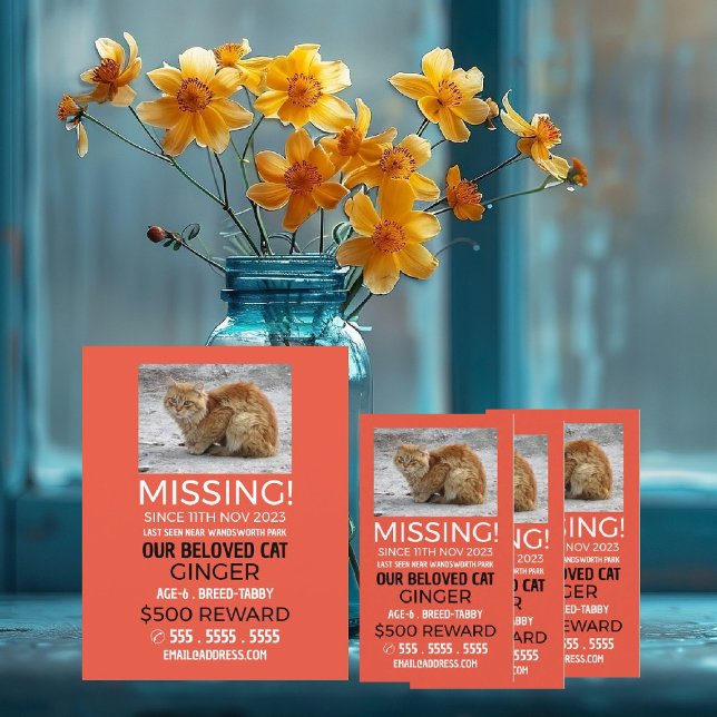 Personalised Photograph, Missing, Lost Pet Flyer (Creator Uploaded)