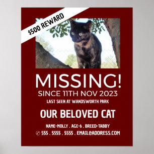 Personalised Photograph, Missing, Lost Pet Poster