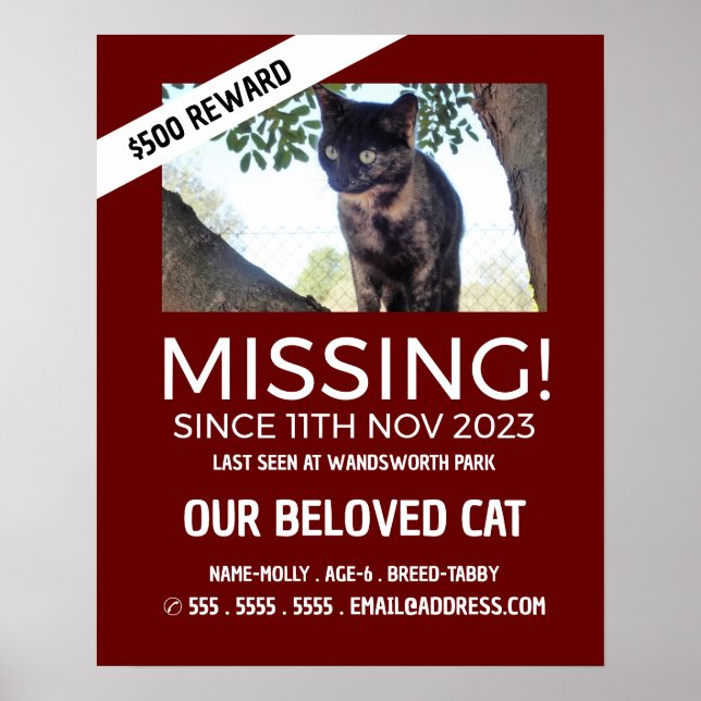 Personalised Photograph, Missing, Lost Pet Poster (Front)
