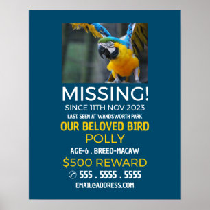 Personalised Photograph, Missing, Lost Pet Poster