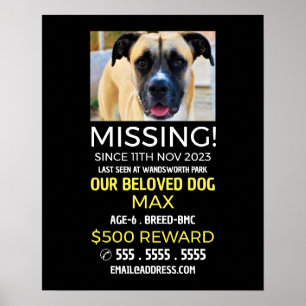 Personalised Photograph, Missing, Lost Pet Poster