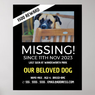 Personalised Photograph, Missing, Lost Pet Poster