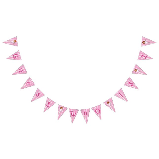 Personalised Pink Ballerina Birthday Banner (All)