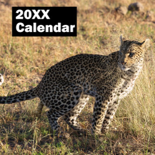 Personalised Pooping Animals Calendar 2027