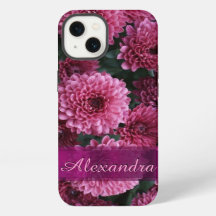 Personalised pretty pink Chrysanthemum flower