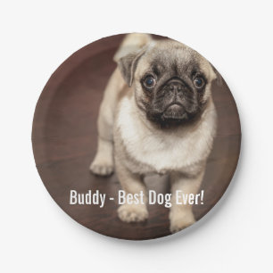 Personalised Pug Dog Photo and Your Pug Dog Name Paper Plate
