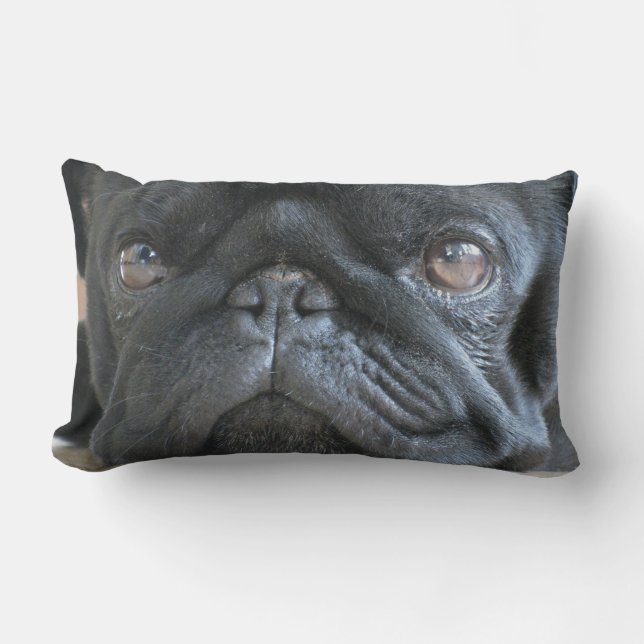 Personalised Pug Pillow, black pug puppy, face Lumbar Cushion (Front)