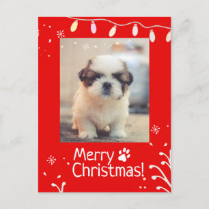 Personalised Puppy Christmas Greeting Postcard
