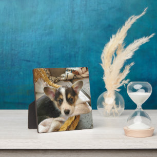 Personalised Puppy Dog Photo Plaque