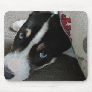 Personalised Puppy Photo Mouse Pad