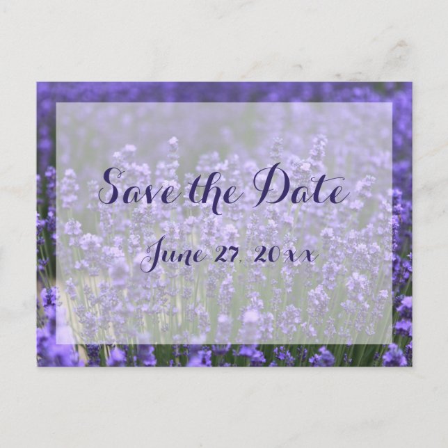 Personalised Purple Lavender Save The Dates Announcement Postcard (Front)